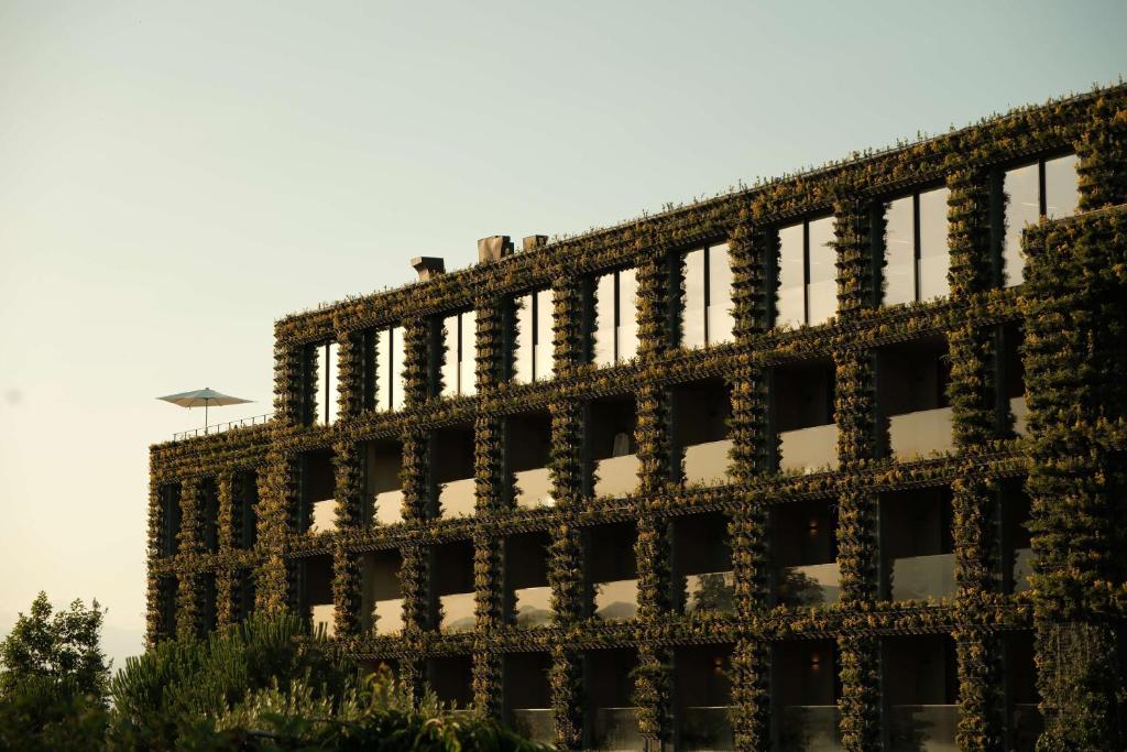 Georgia urban investment environment