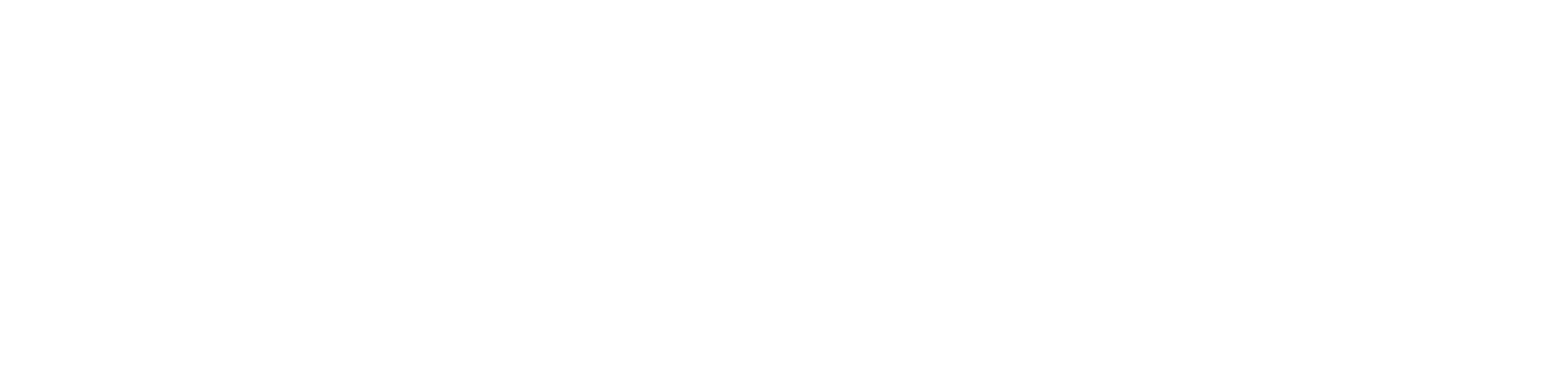 TG Logo ENG White